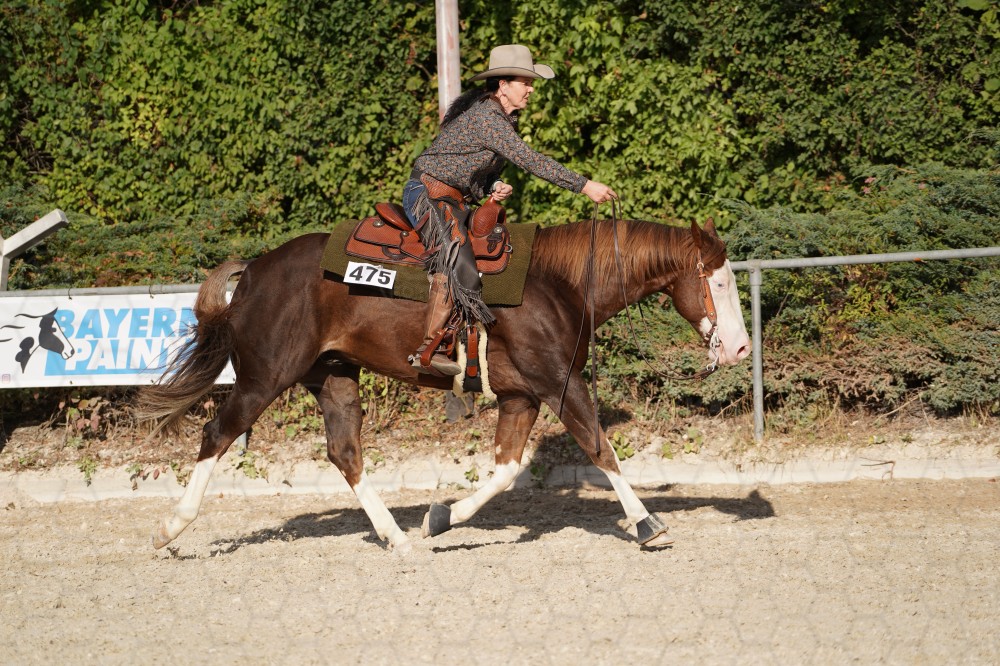 s_A_908490.JPG